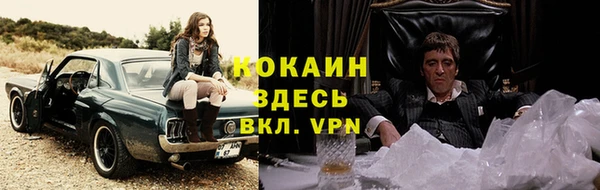 индика Абинск