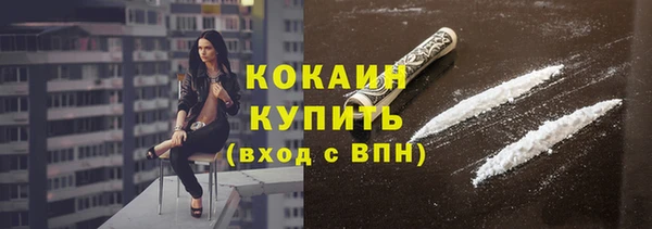 индика Абинск