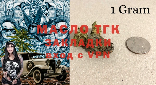 индика Абинск