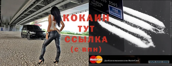 индика Абинск
