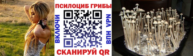 Галлюциногенные грибы Psilocybine cubensis  Ковров 