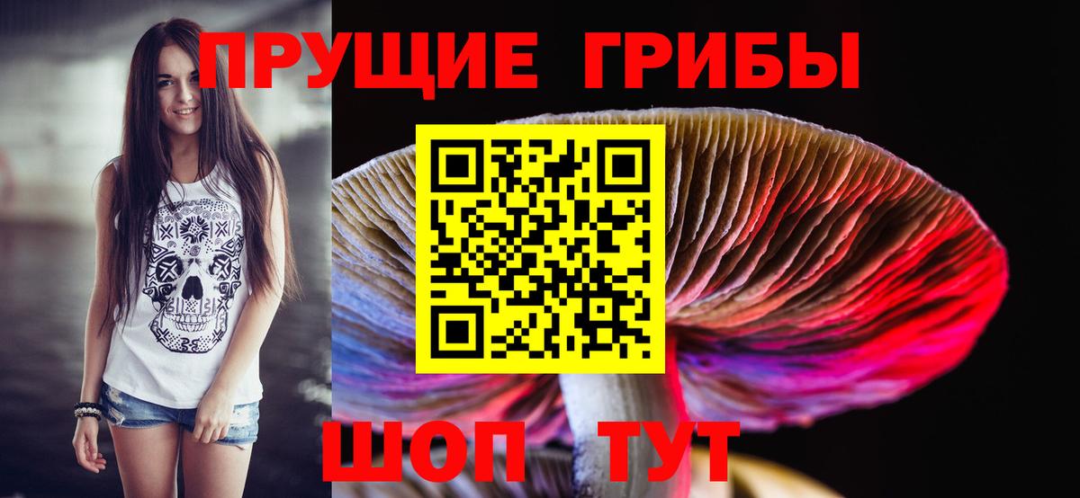 Галлюциногенные грибы Psilocybine cubensis Ковров